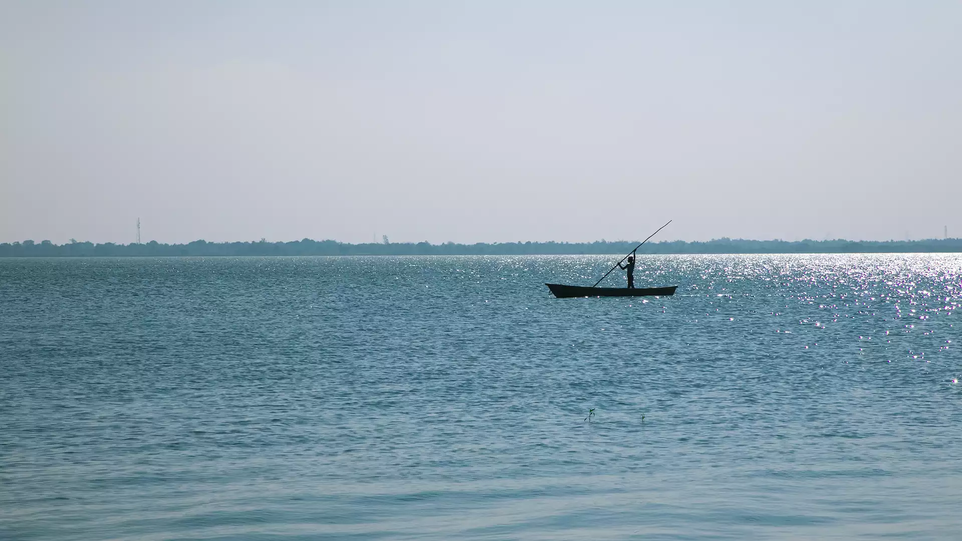 Veeranam Lake